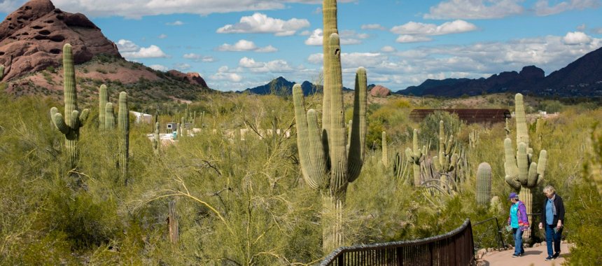 Enjoy complimentary admission to the Desert Botanical Garden